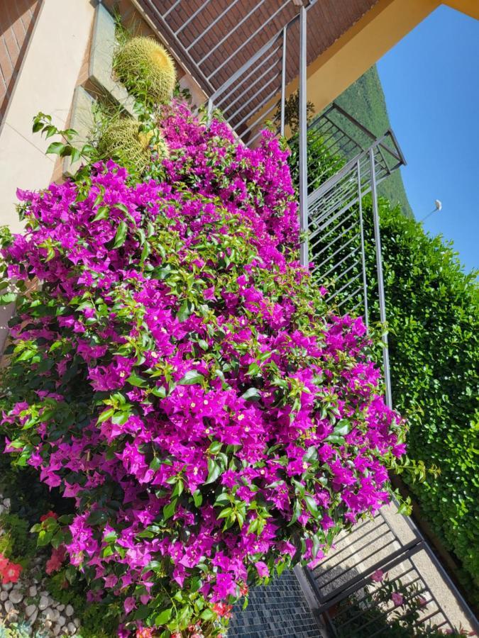 B&B Rossella Montoro Inferiore Exterior photo
